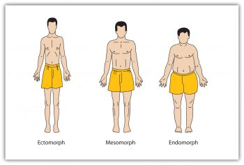 12.1 Personality and Behaviour: Approaches and Measurement ...