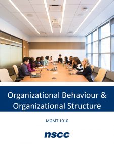 Organizational Structure book cover