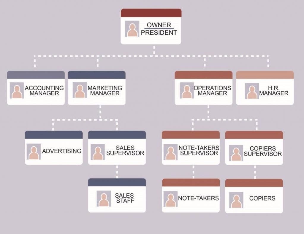 The Organization Chart NSCC Fundamentals of Business