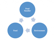 Workplace Sanitation – Food Safety, Sanitation, and Personal Hygiene