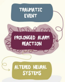 Diagram of coloured bubbles stating trauma event - prolonged alarm reactopm - altered neural systems