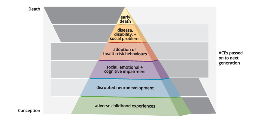 ACE Intergenerational Transmission Pyramid from birth to death