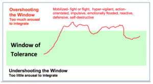 Window of toerlance diagram with line in the overshooting window part with words such as defensive, self-destructuve, fight or flight, impulsive ect