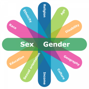 This figure illustrates some of the factors which can intersect with sex and gender. Six oblong shapes of differing colors overlap and fan out. Each oblong has two identity factors written on it. The top oblong has “sex and gender” written in a larger font. Starting below sex and gender and going clockwise, the additional identities identified are: geography, culture, income, sexual orientation, education, race, ethnicity, religion, age and disability.