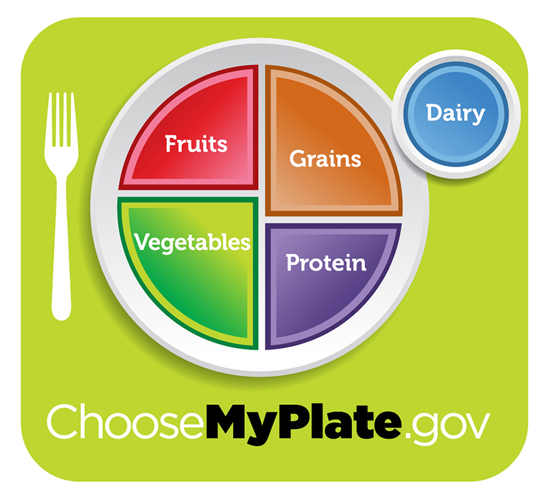 Figure 34.14.  For humans, a balanced diet includes fruits, vegetables, grains, and protein. (credit: USDA)