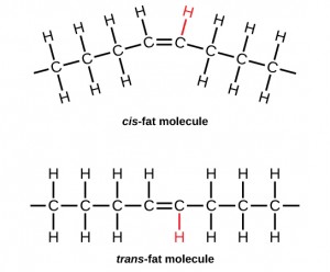 Two images show the molecular structure of a fat in the cis-conformation and the trans-conformation.