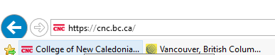 The bookmarks bar appears below the address bar in Explorer.