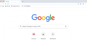 The Google homepage has a search box where you type your query.
