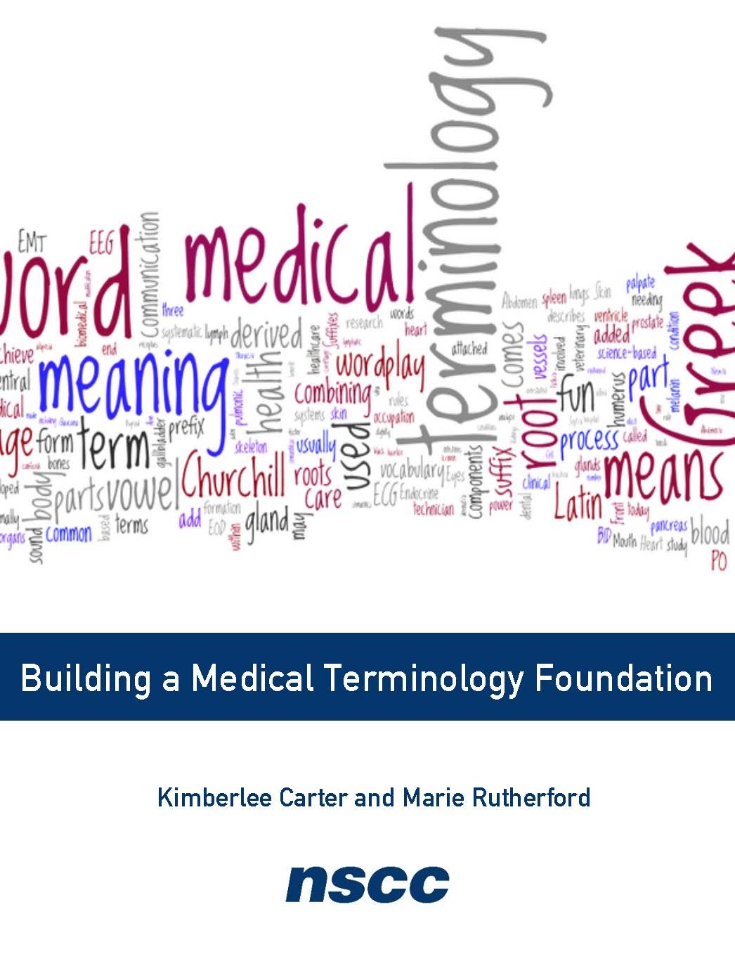 Cover image for Building a Medical Terminology Foundation