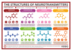 The structure of neurotransmitters: adrenaline, noradrenaline, dopamine, serotonin, gaba, acetylcholine, glutamate, endorphins.