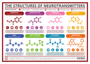 The structure of neurotransmitters: adrenaline, noradrenaline, dopamine, serotonin, gaba, acetylcholine, glutamate, endorphins. 