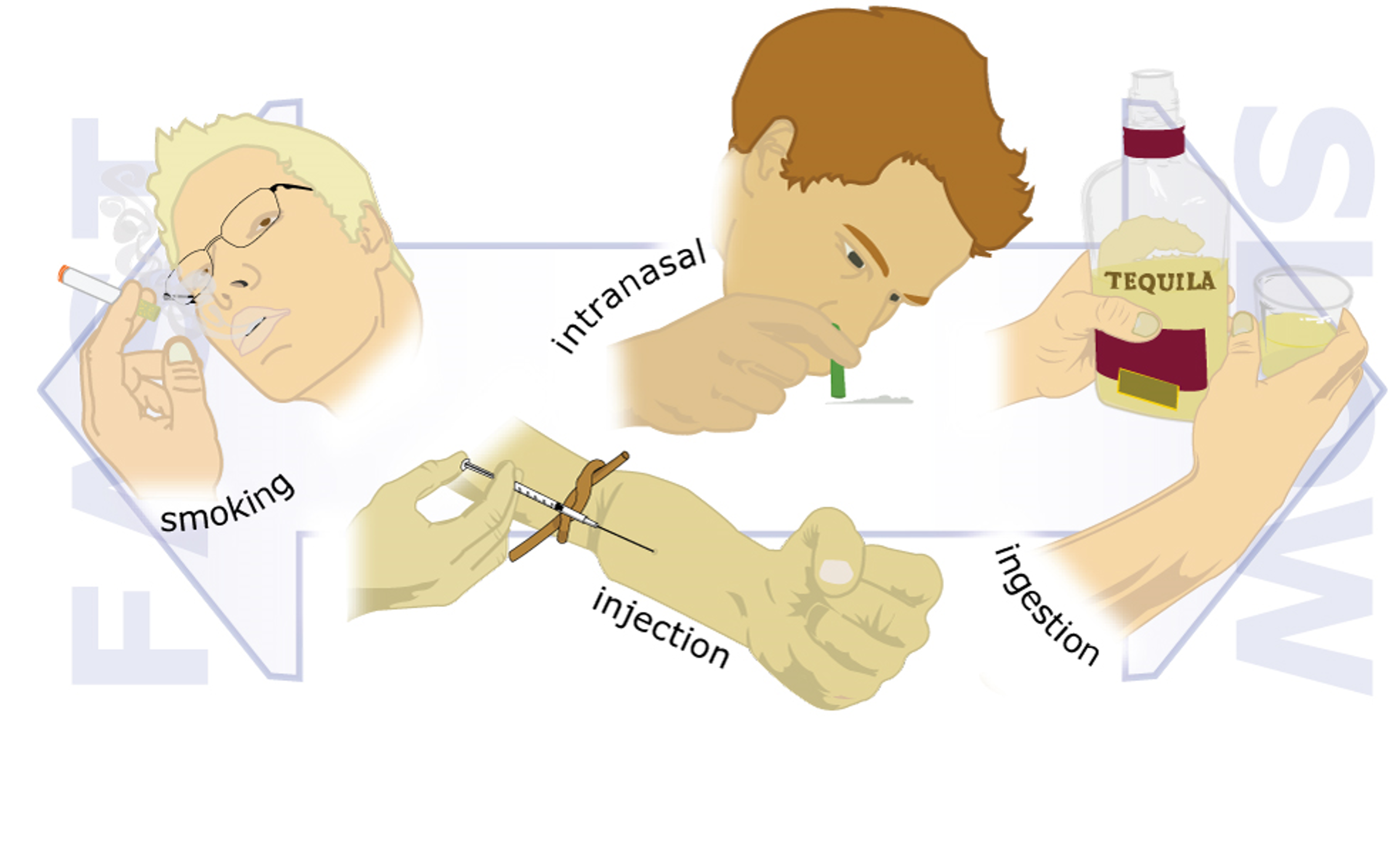 Illustration of different methods of drug delivery including smoking, injection, instranasal, and ingestion.