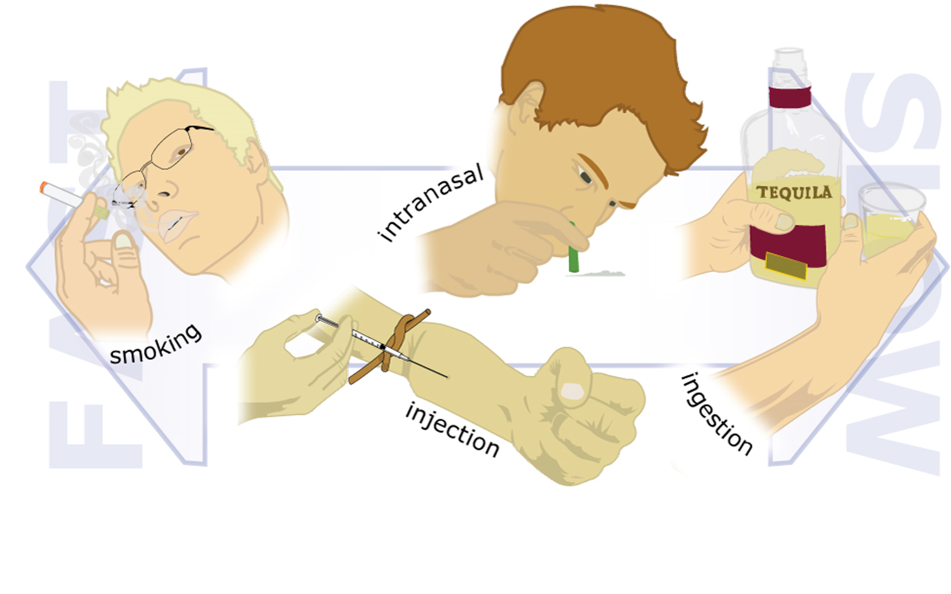 4-2-routes-of-administration-exploring-substance-use-in-canada