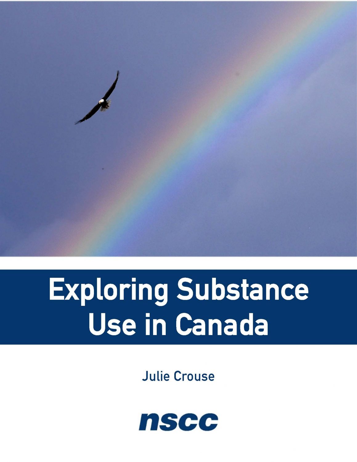 Cover image for Exploring Substance Use in Canada