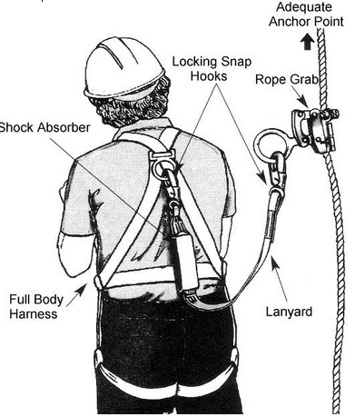 Vertical Lifelines and Fall Arrestors – NSCC Certified Fall Protection ...