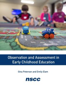 Observation and Assessment in Early Childhood Education book cover