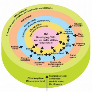 Bronfenbrenner's ecological systems theory.