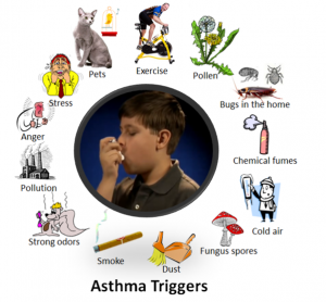 The different things that can trigger asthma.