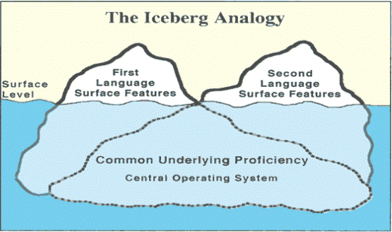 The Iceberg Analogy.