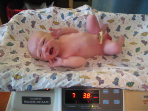 A newborn being weighed.