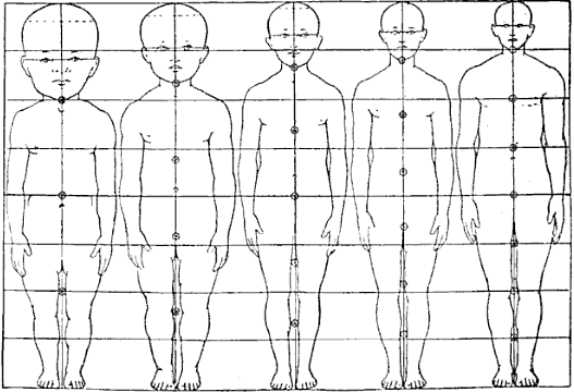 Body proportions from infancy to adulthood.