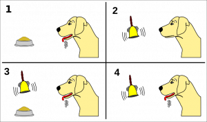 Pavlov’s experiments with dogs and conditioning.