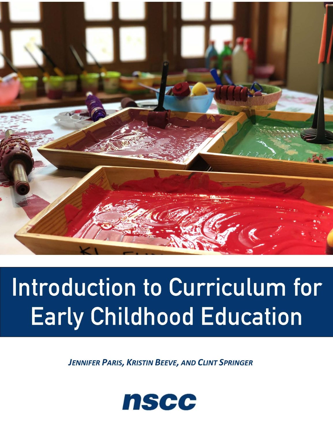 Cover image for Introduction to Curriculum for Early Childhood Education