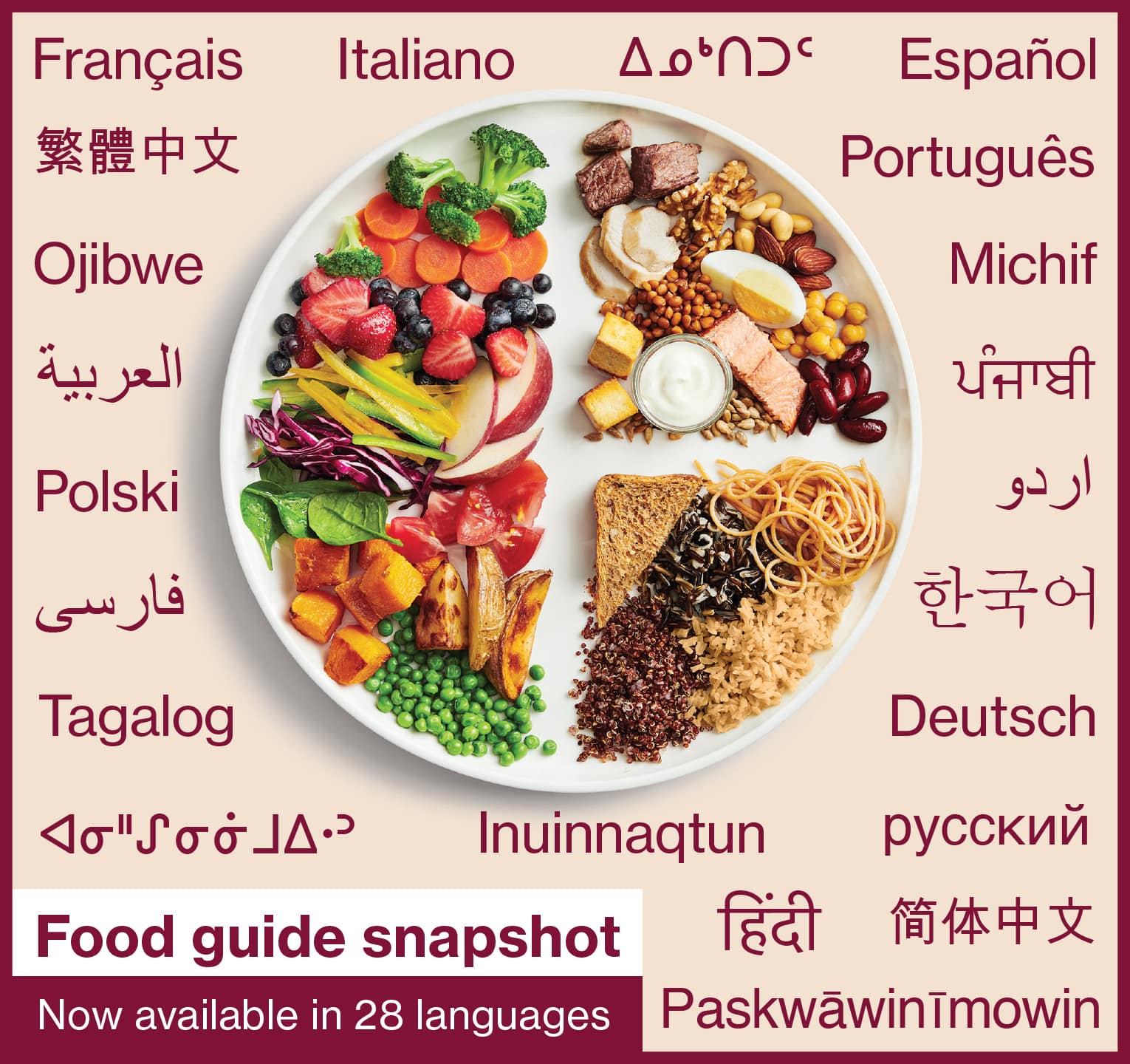 Food guide snapshot with different language translations