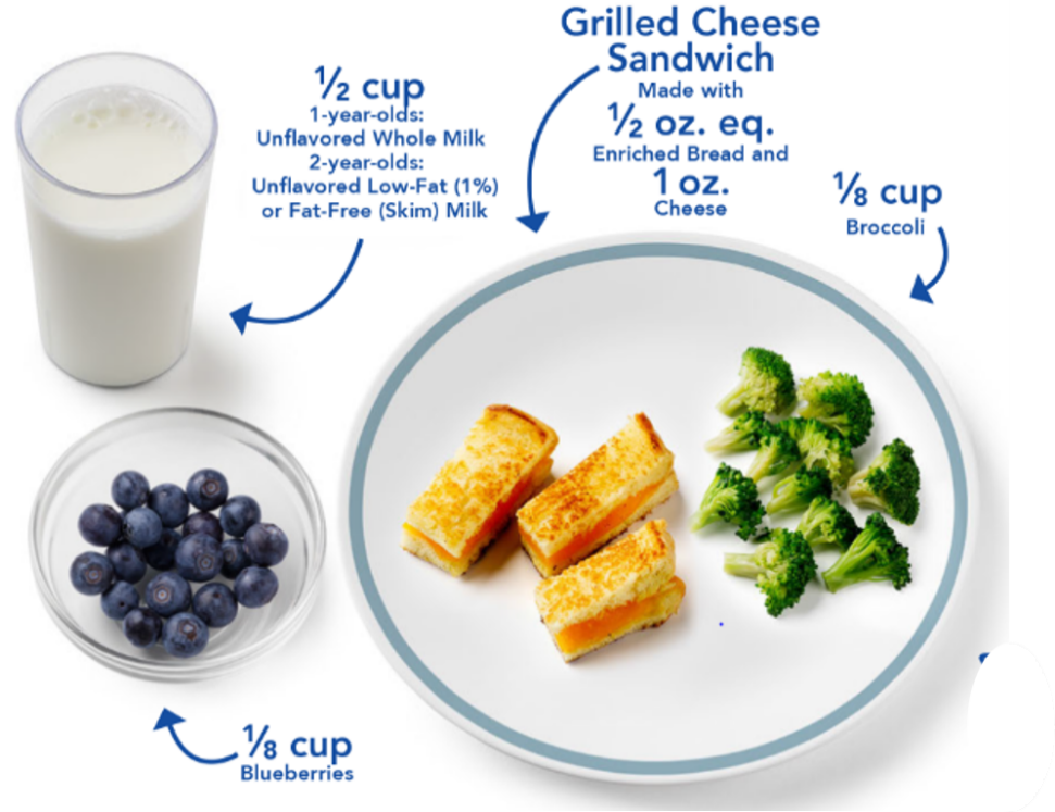 Sample lunch for toddler: 1/8 cup blueberries, 1/2 cup milk, 1/2 grilled cheese sandwich and 1/8 cup broccoli