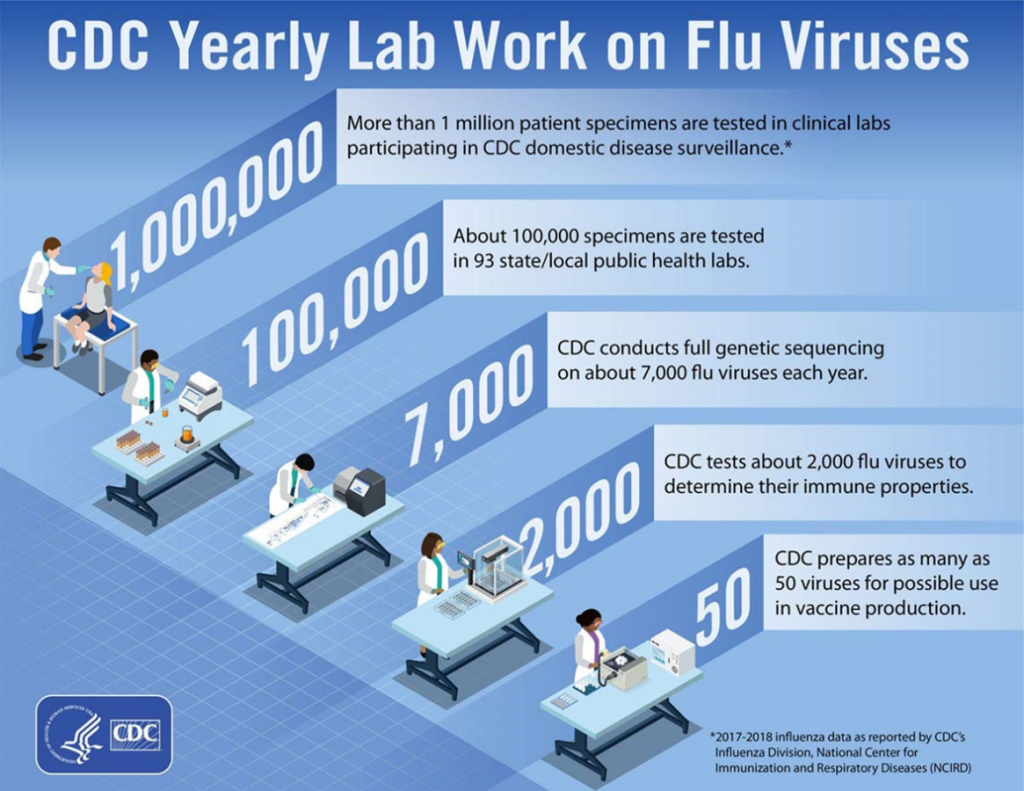 Manufacturing flu vaccines passes through a rigorous testing process each year.