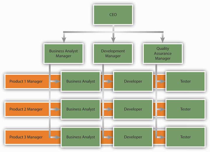 Image result for matrix organizational structure