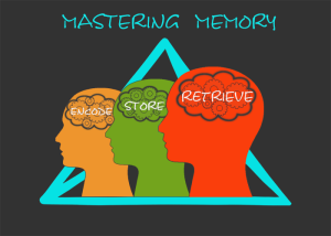 Three heads representing Mastering Memory. Each head contains a word over the brain: encode, store, retrieve