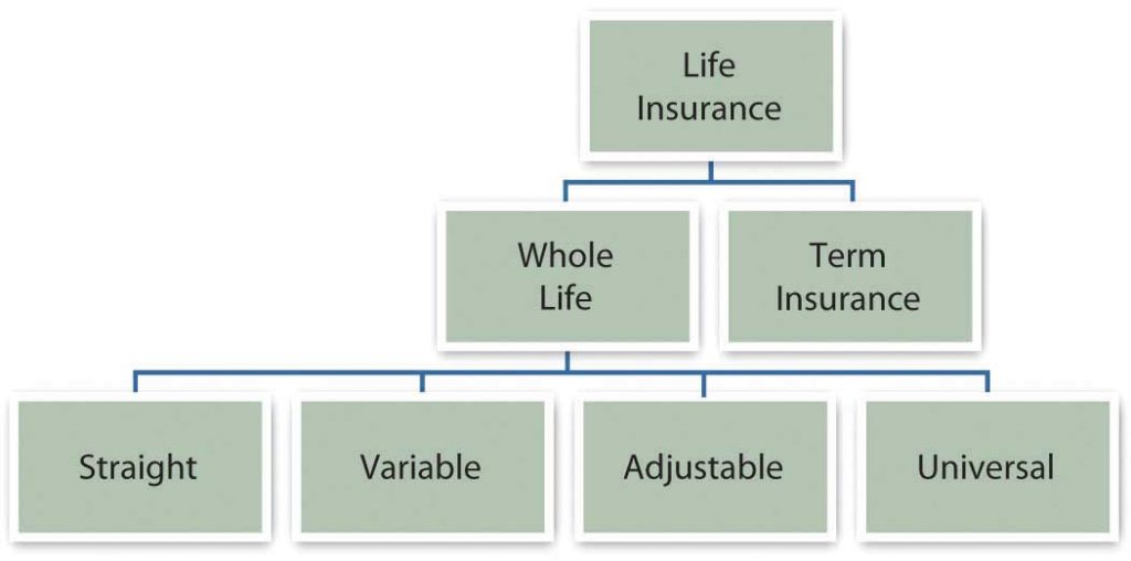This image shows the different types of life insurance.