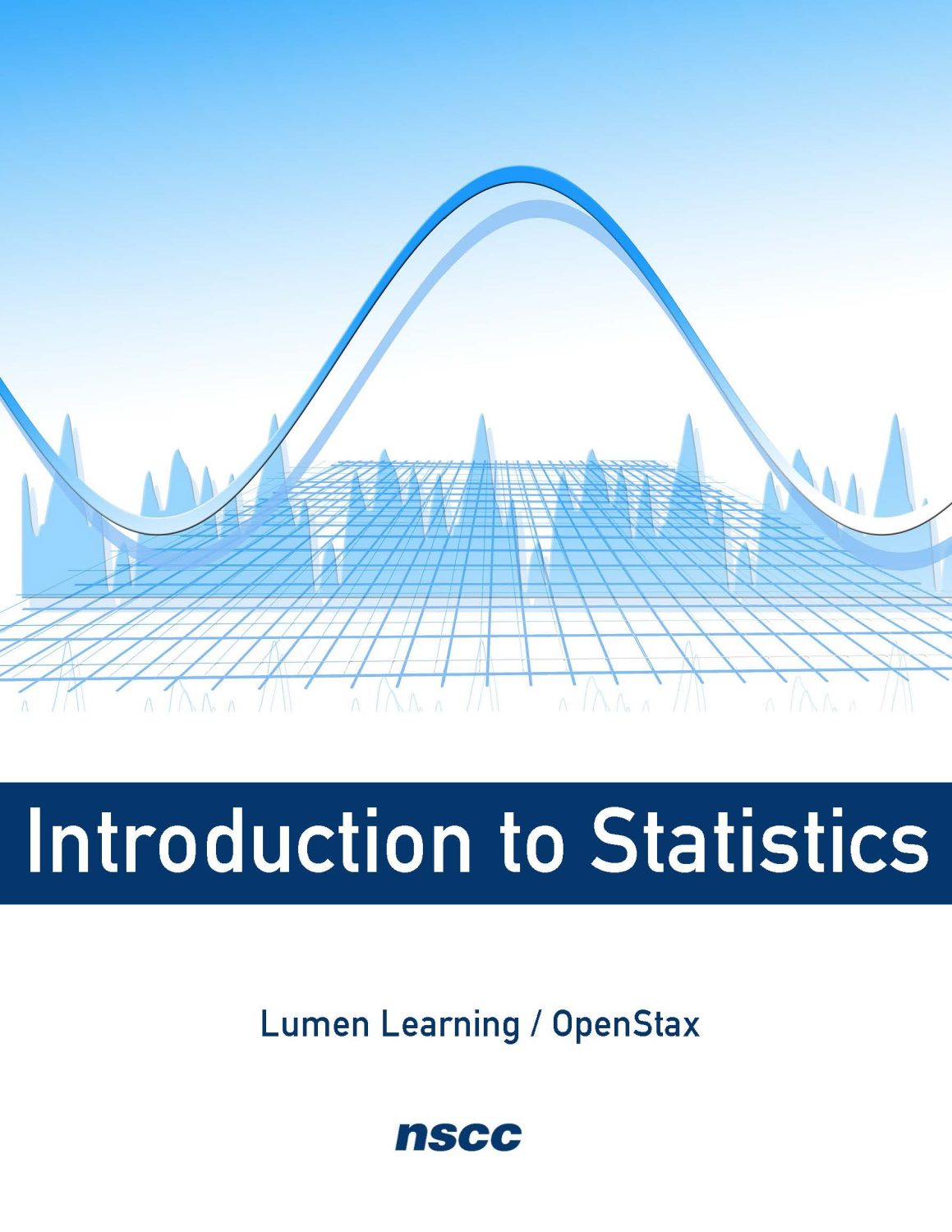 Cover image for Introduction to Statistics