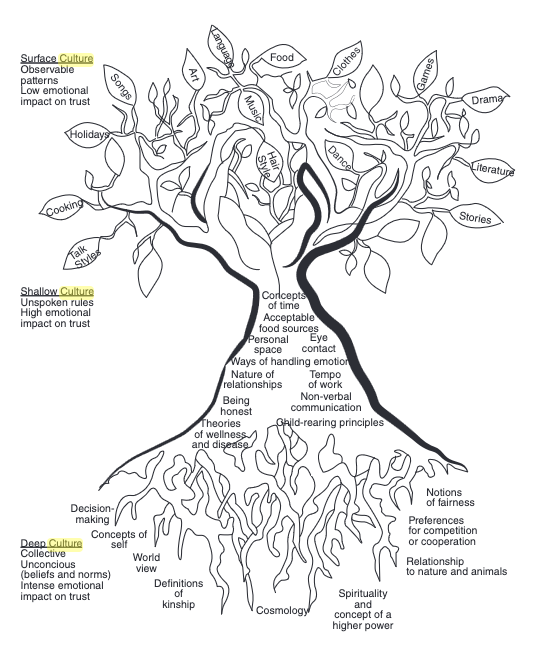 Roots, trunk and leaves representing words and concepts of deep, shallow and surface culture.