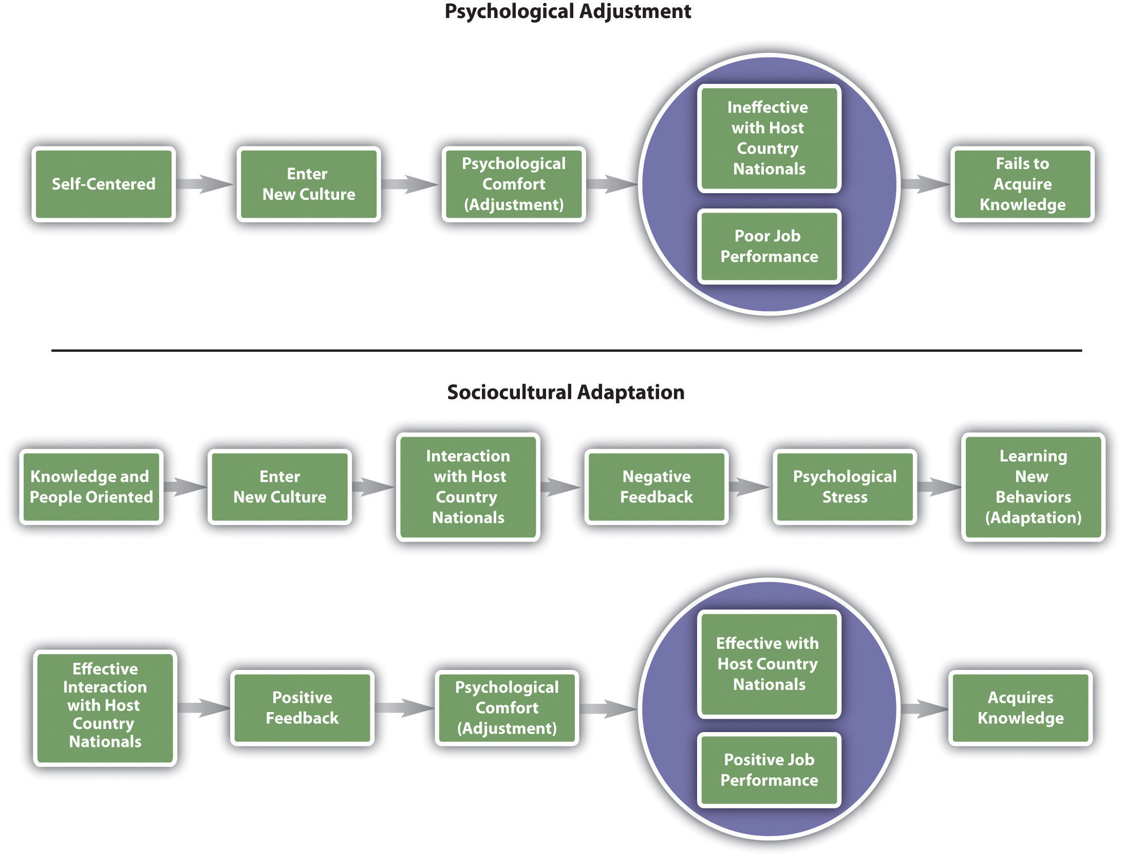 Blakeney's Model of Psychological versus Sociocultural Adaption