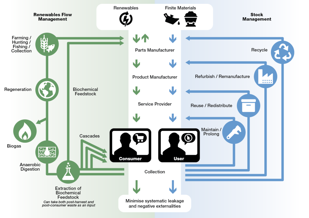 Circular Economy Systems Diagram