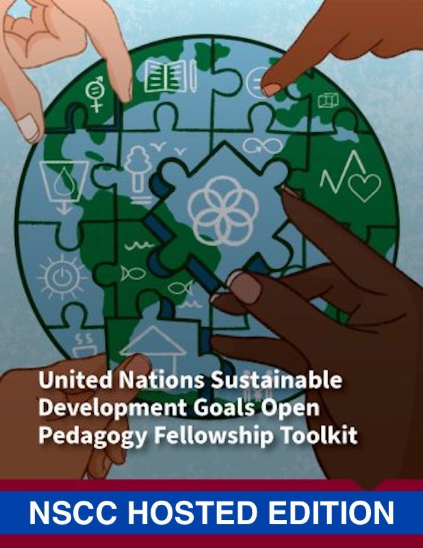 Cover image for UN Sustainable Development Goals Open Pedagogy Fellowship