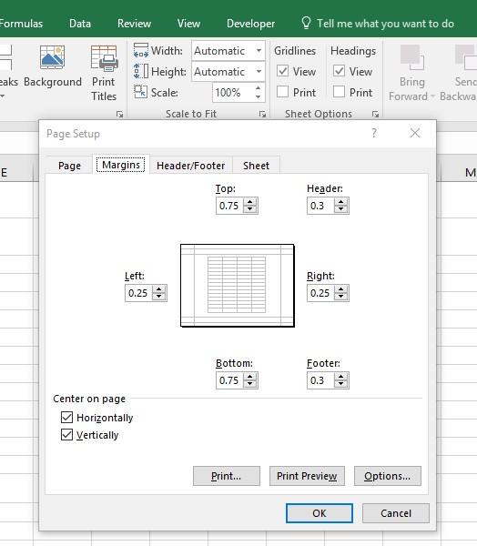 Page Layout Commands dialog box. Tabs for Page, Margins, Header/Footer, and Sheet with Margins tab open and Print, Print Preview, Options, and OK/Cancel at bottom of dialog box.