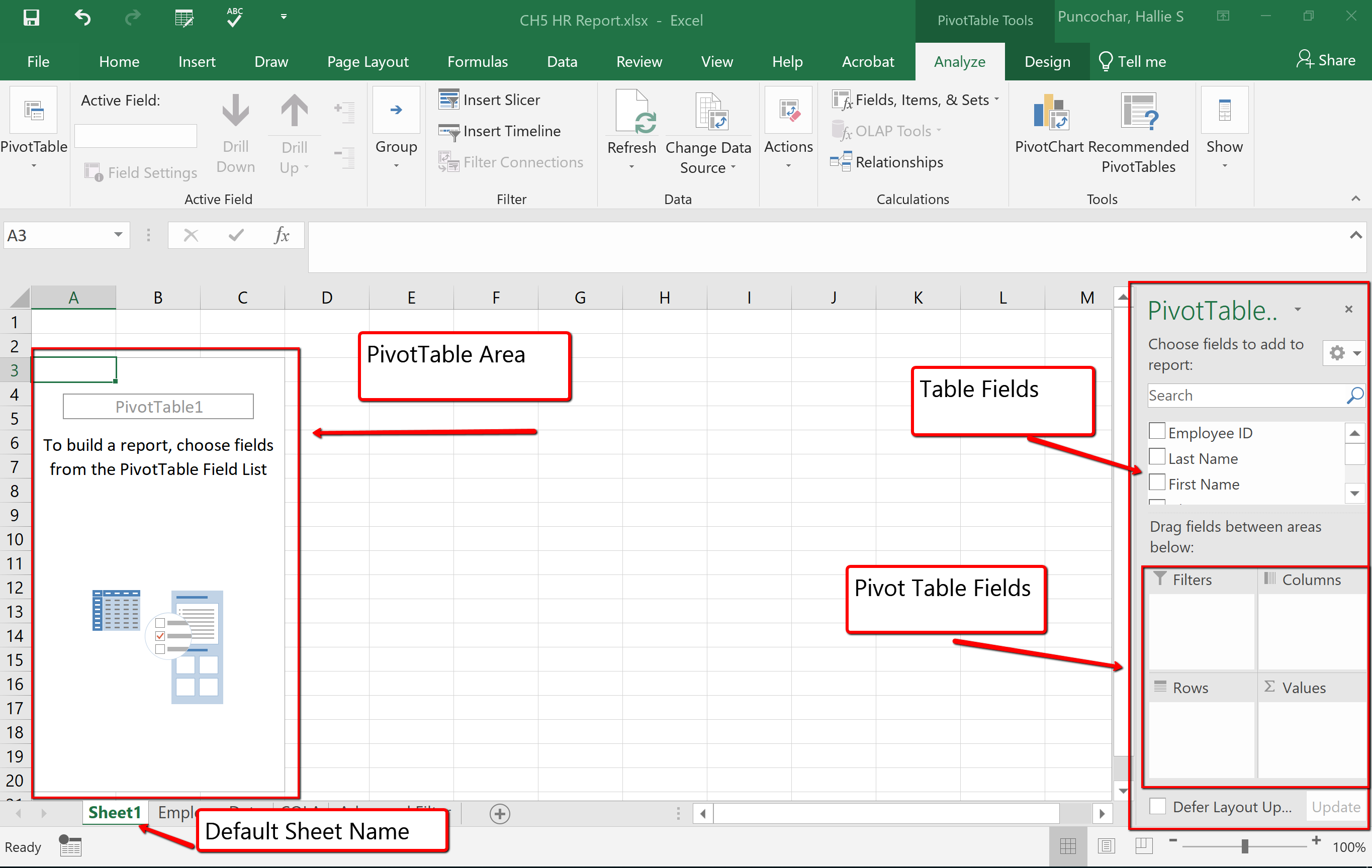 Screenshot of the PivotTable window