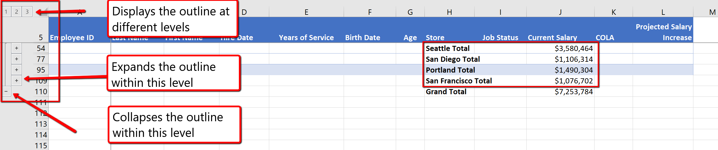 Screenshot of the Subtotal Outline Level 2