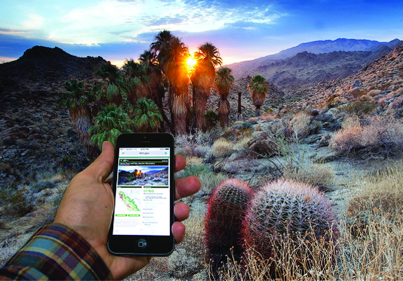 A hand holds a smartphone up in the foreground of a desert landscape with palm trees and cacti.