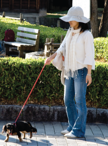 A woman is outside wearing a sunhat, white shirt and denim jeans holds a red leash attached to a small dog.