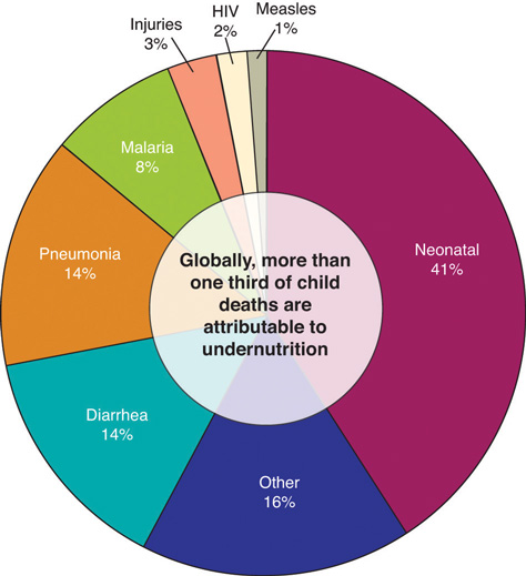 Pie graph of the causes of death for children