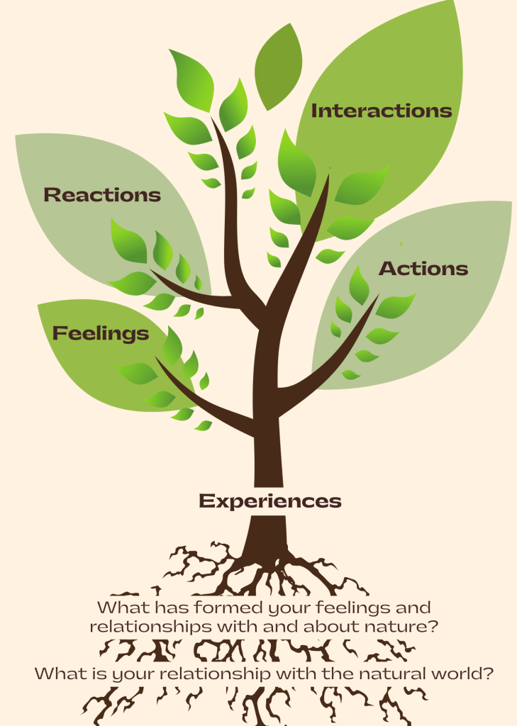 This graphic depicts a tree with it's roots visible and four branches. On each branch there is a large leaf. Beginning with the roots, there are two text boxes overlaid on the roots. The first says 'what is your relationship with the natural world?', the second one says 'What has formed your feelings and relationships with and about nature?'. Moving up, at the base of the tree trunk there is a text box that says 'Experiences'. The first branch and leaf has text that says 'feelings', the next says 'Actions', the third says 'Reactions' and the fourth says 'Interactions'.