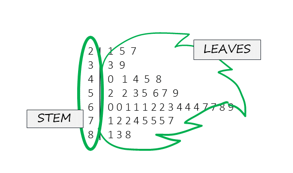 Image of sample stemplot with an oval drawn around the numbers which make the stem and an outline of a leaf around the numbers that make up the leaves.