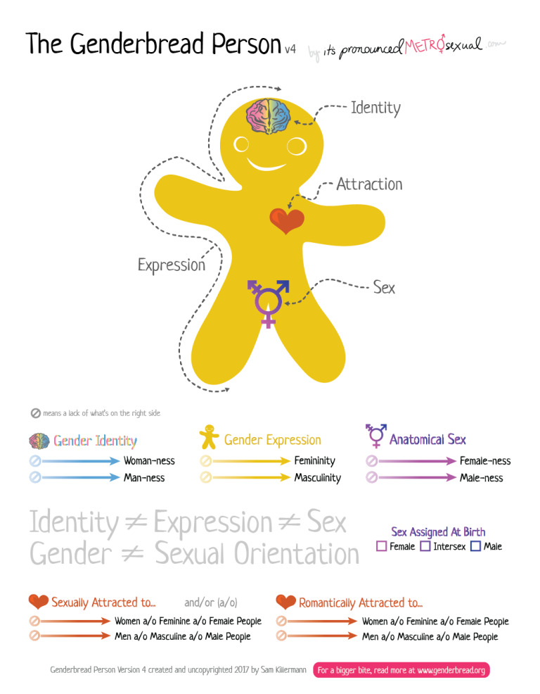 The Gender Continuum – Children, Families, Schools, And Communities