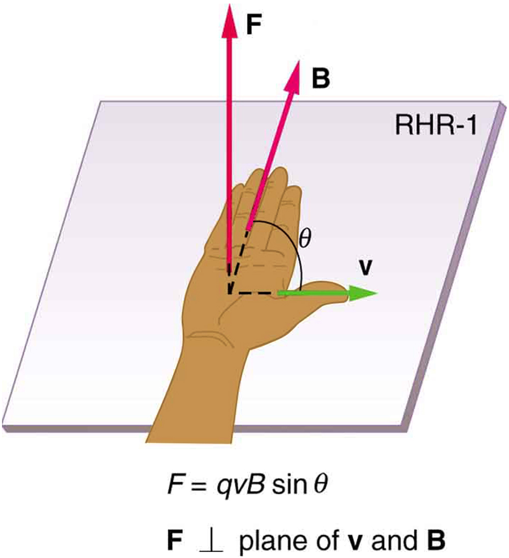 The right hand rule 1. An outstretched right hand rests palm up on a piece of paper on which a vector arrow v points to the right and a vector arrow B points toward the top of the paper. The thumb points to the right, in the direction of the v vector arrow. The fingers point in the direction of the B vector. B and v are in the same plane. The F vector points straight up, perpendicular to the plane of the paper, which is the plane made by B and v. The angle between B and v is theta. The magnitude of the magnetic force F equals q v B sine theta.