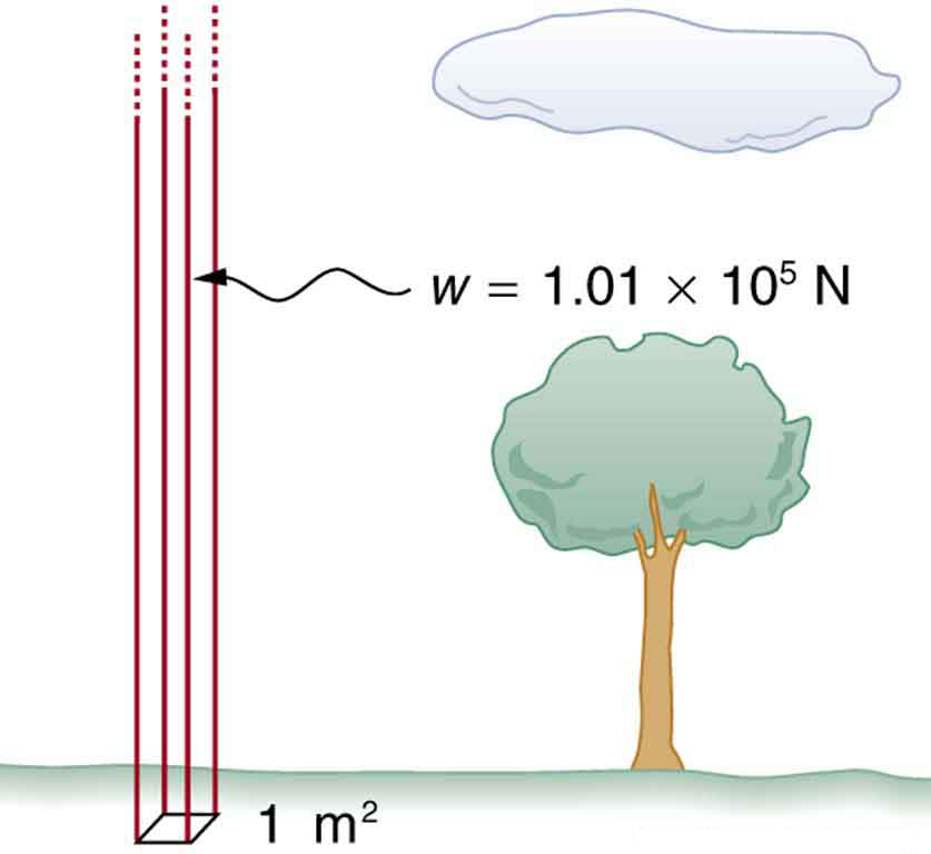 Figure shows a column of air exerting a weight of one point zero one times ten to the power five newtons on a rectangular patch of ground of one square meter cross section.