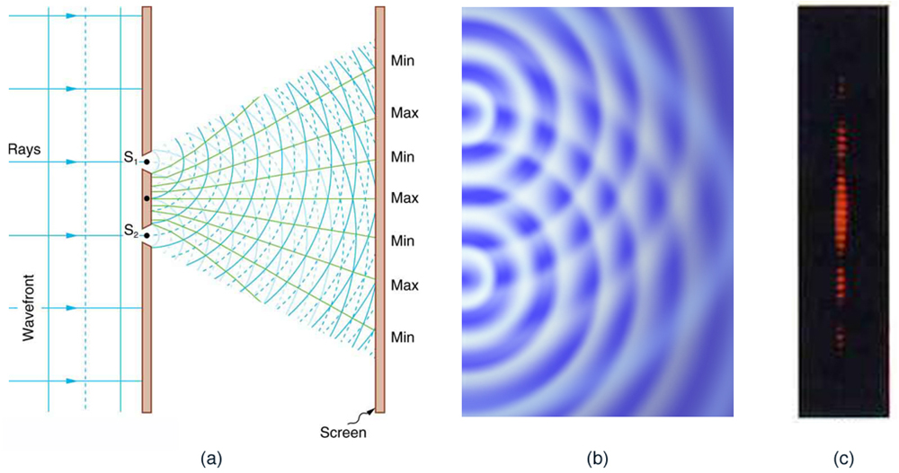 The figure contains three parts. The first part is a drawing that shows parallel wavefronts approaching a wall from the left. Crests are shown as continuous lines, and troughs are shown as dotted lines. Two light rays pass through small slits in the wall and emerge in a fan-like pattern from two slits. These lines fan out to the right until they hit the right-hand wall. The points where these fan lines hit the right-hand wall are alternately labeled min and max. The min points correspond to lines that connect the overlapping crests and troughs, and the max points correspond to the lines that connect the overlapping crests. The second drawing is a view from above of a pool of water with semicircular wavefronts emanating from two points on the left side of the pool that are arranged one above the other. These semicircular waves overlap with each other and form a pattern much like the pattern formed by the arcs in the first image. The third drawing shows a vertical dotted line, with some dots appearing brighter than other dots. The brightness pattern is symmetric about the midpoint of this line. The dots near the midpoint are the brightest. As you move from the midpoint up, or down, the dots become progressively dimmer until there seems to be a dot missing. If you progress still farther from the midpoint, the dots appear again and get brighter, but are much less bright than the central dots. If you progress still farther from the midpoint, the dots get dimmer again and then disappear again, which is where the dotted line stops.